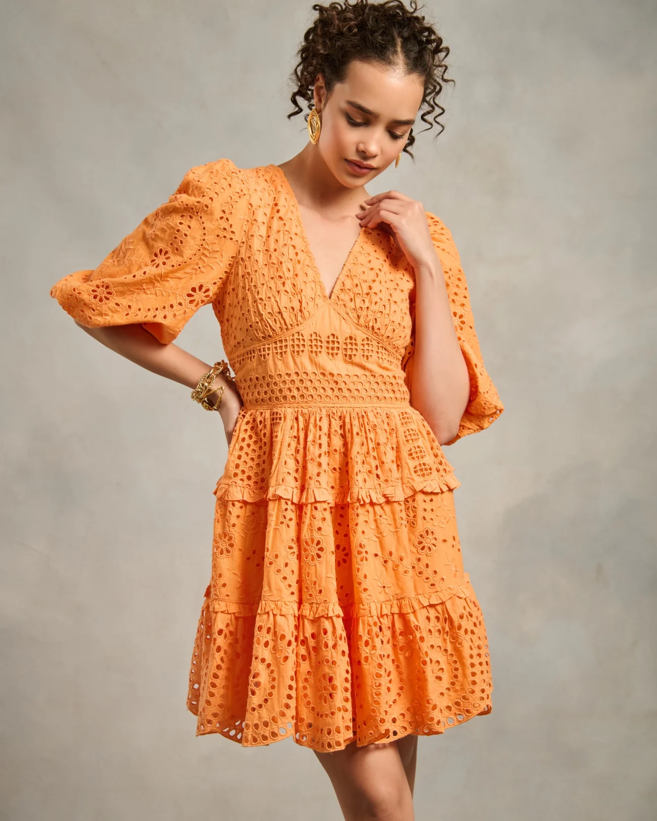 Serena Schiffli Dress - Image 13
