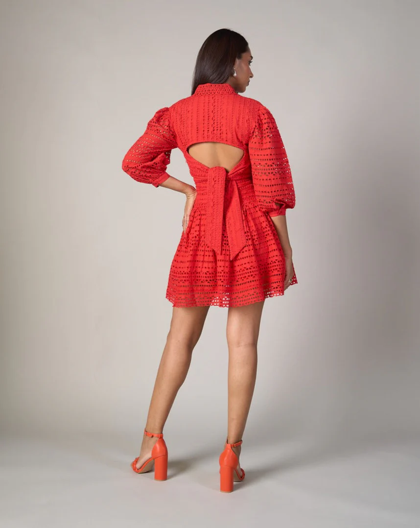 Thea Schiffli Dress - Image 22